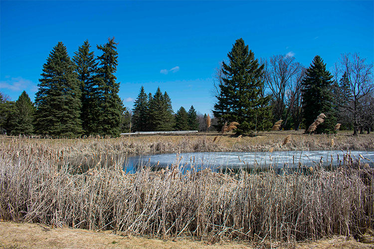Rosemere golf club