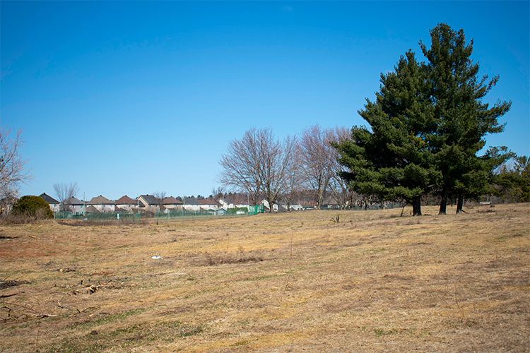 Rosemere golf club