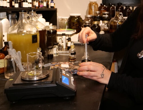 Gender Gap in Business