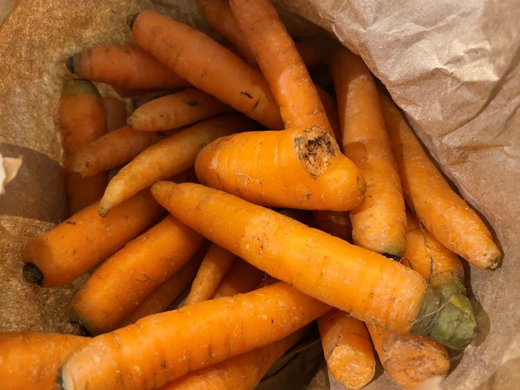  Carrots received in a basket from Second Life, rejected by cosmetic standards for their small size and odd shapes.