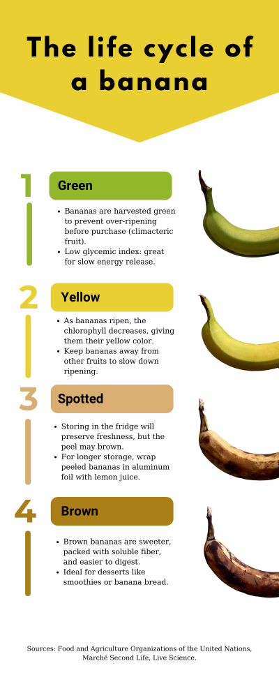 A chronological graph of the life of a banana from green to brown.